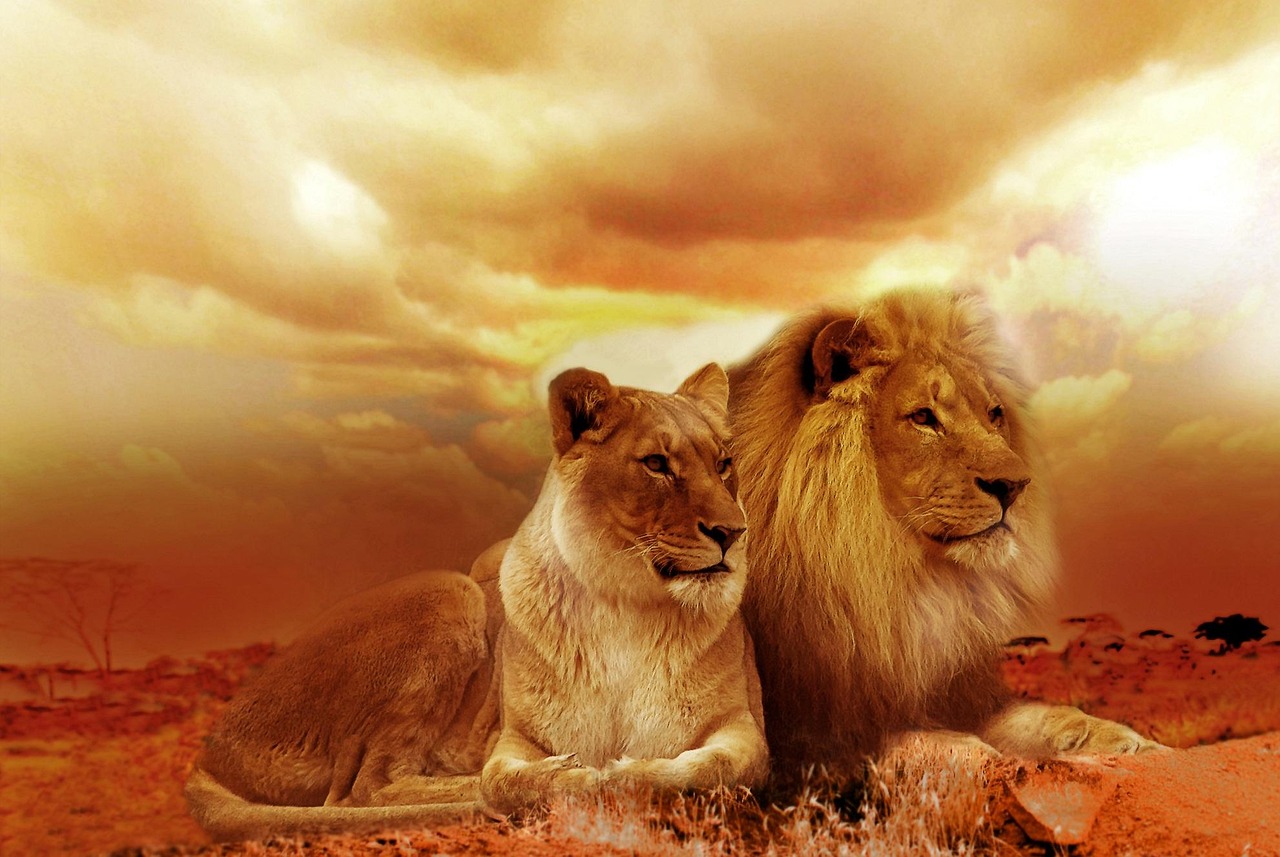 Book flights to Tanzania - Africa destination - international airline tickets